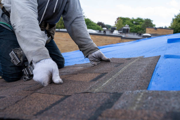 Best New Roof Installation  in Hahnville, LA